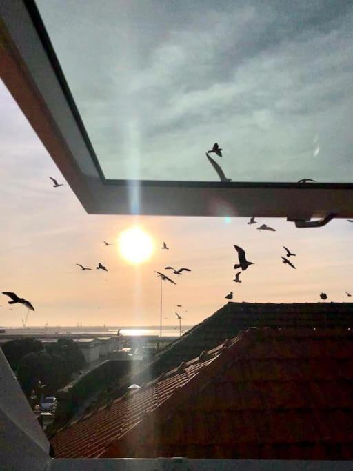 Lobo Do Mar Matosinhos Beach Loft Екстер'єр фото